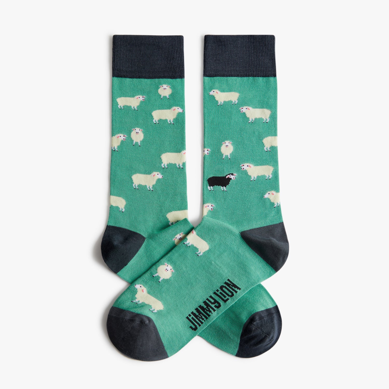 Black-Sheep_Turquoise_1_d938fe6f-05ef-4aea-aab2-9f754279fe8a