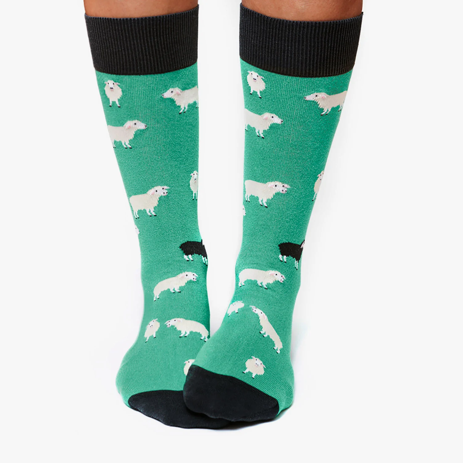 Black-Sheep_Turquoise_3