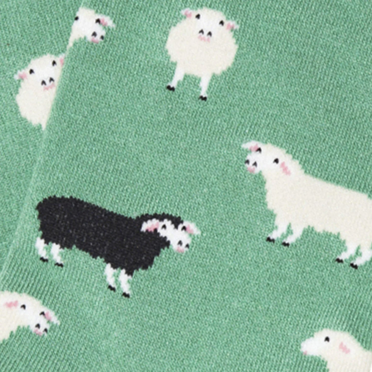 Black-Sheep_Turquoise_swatch