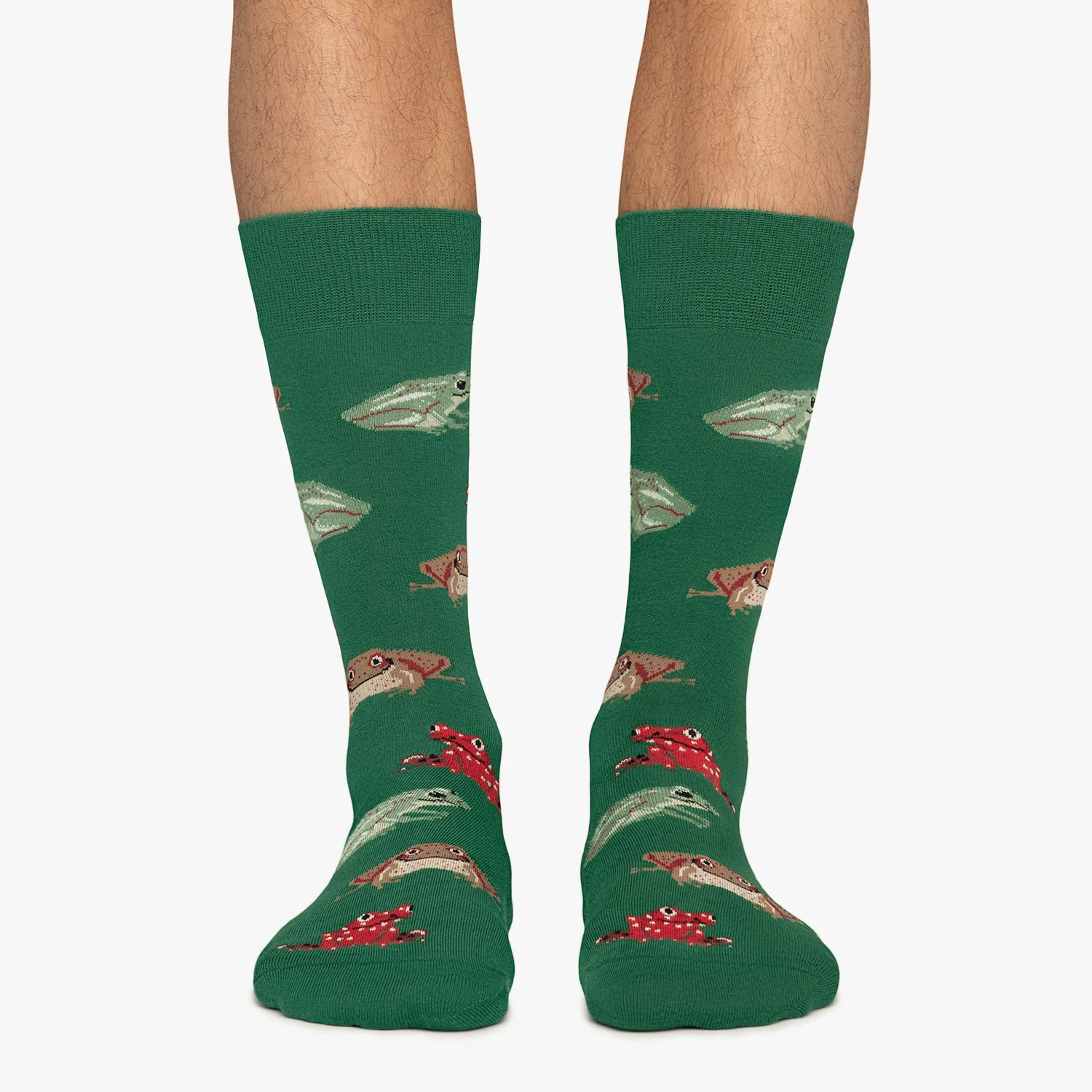 Frogs_Green_2